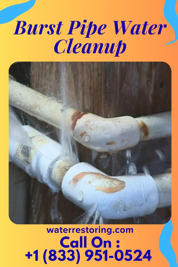 Burst Pipe Water Cleanup in Hobart, NY