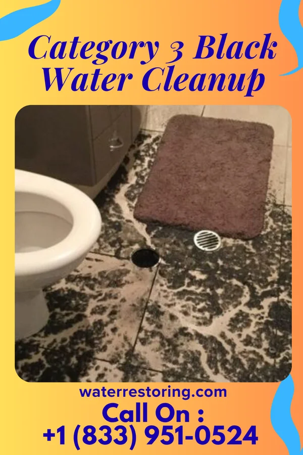 Category 3 Black Water Cleanup in Hobart, NY