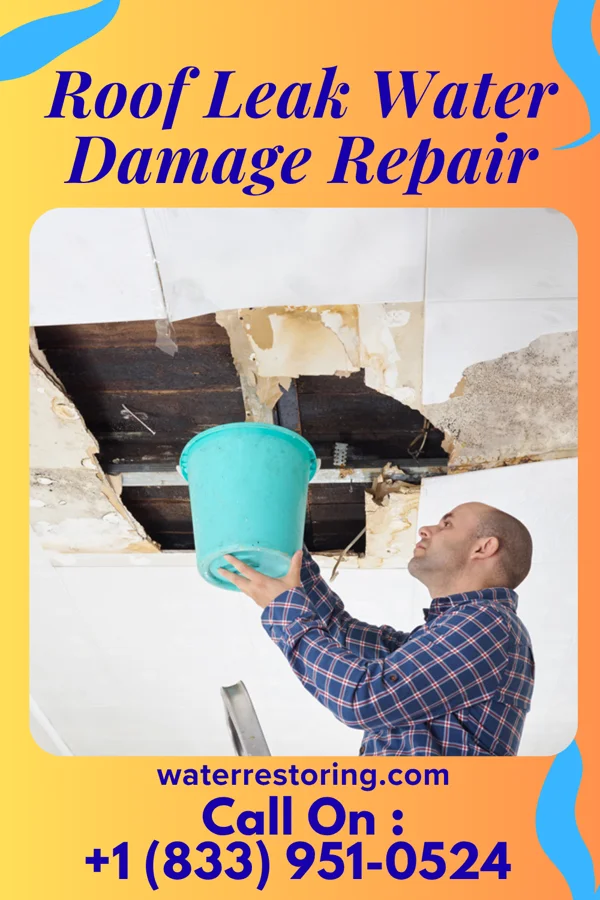 Roof Leak Water Damage Repair in Hobart, NY