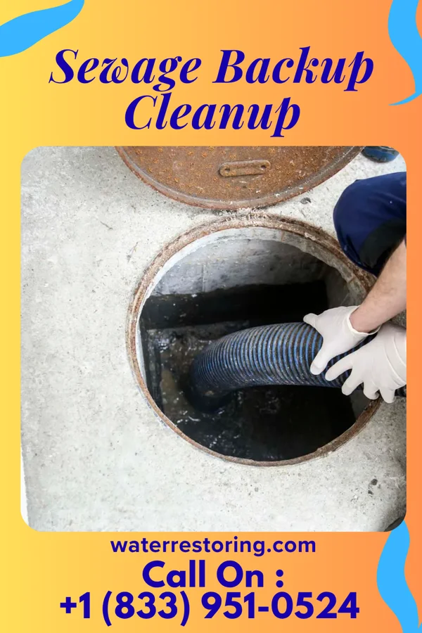 Sewage Backup Cleanup in Hobart, NY
